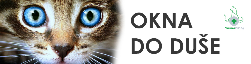 užší banner_oči - okna do duše